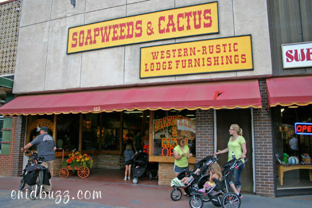 Soapweeds & Cactus Store