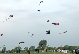 kitefliers-assention-2012