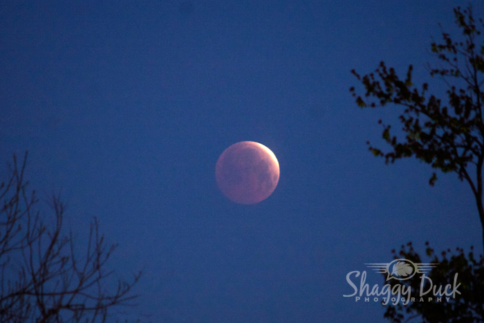 Lunar Eclipse over Enid, Oklahoma