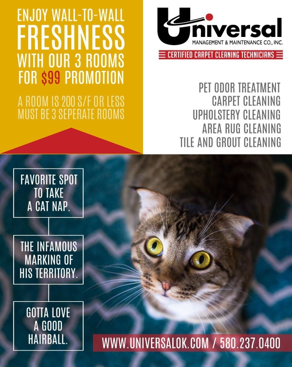 Book Your Holiday Carpet Cleaning!