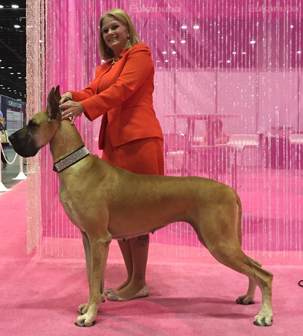 Enid Resident Competes In National Dog Show Enid Buzz