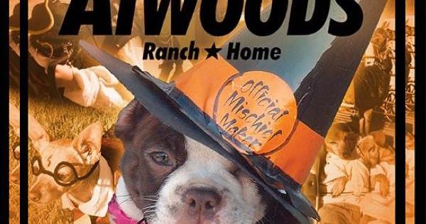 Atwoods Pet Costume Contest Enid Buzz